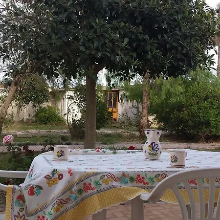Delle Camelie Al Mare *