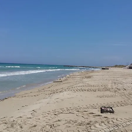 Delle Camelie Al Mare
